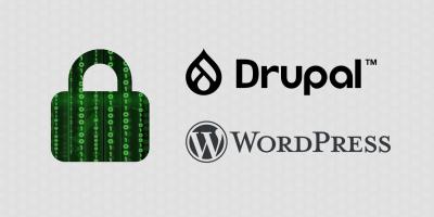 Drupal & Wordpress Security